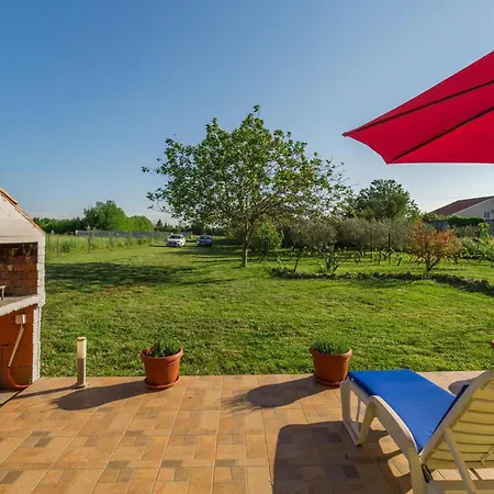 Pet Friendly In Pula