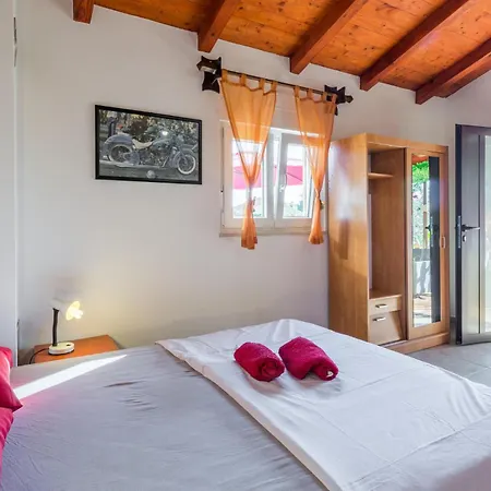 Apartmán Pet Friendly In *